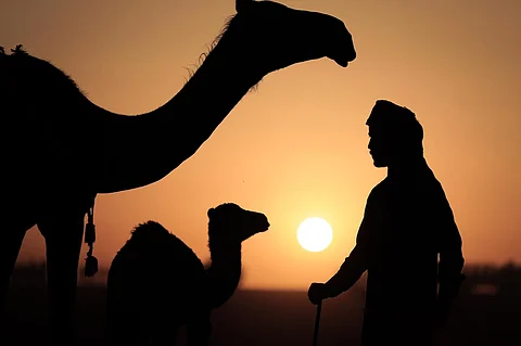 نادي الإبل يحول "الصياهد" منتجعًا شتويًّا ويغزلها حكايا عالمية