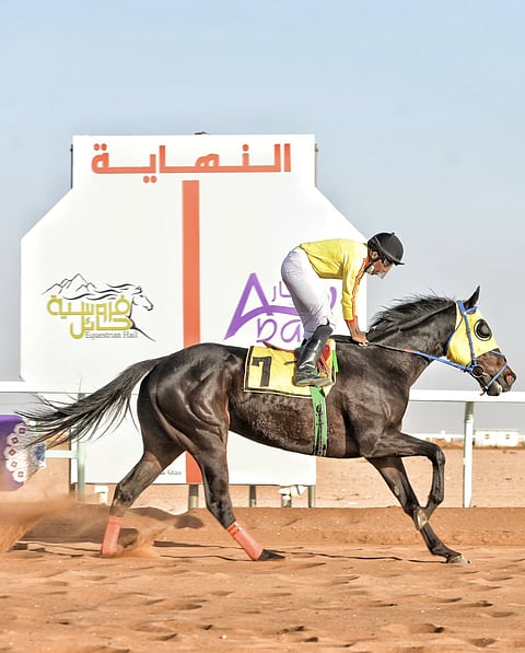 "أم الكرم" بطلًا لفروسية حائل في تمهيدي 2017.. و"عايفة" أول المفتوح