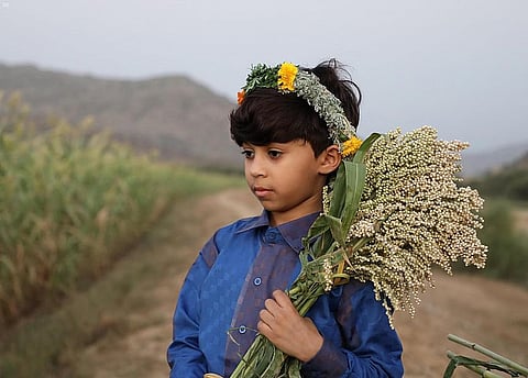 مهرجان لـ"الخضير" بجعدية جازان.. تعرَّف على المقلاع ومراحل الخريط