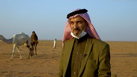 بعد 30 عامًا.. الإبل العراقية تشارك بمنافسات "المزاين" بمهرجان الملك عبدالعزيز