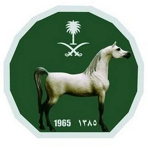 مليون ريال لكل شوط.."سباقات الخيل" يعتمد 36 جواداً لكأس خادم الحرمين
