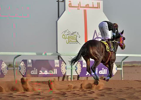تتويج الجواد "علم السماوي" بكأس الحفل الخامس عشر بالخيال المطرودي