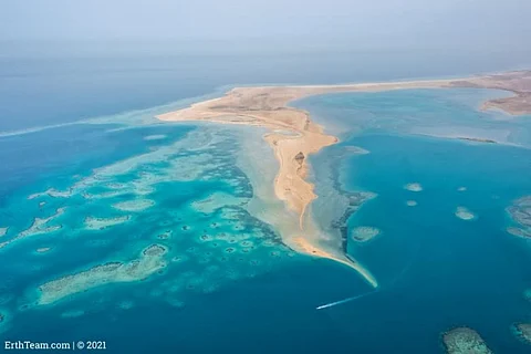 شاطئ الرأس الأبيض بين "الفقمات" المغربية و"الشعاب" السعودية.. فوارق مذهلة