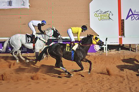 "بسيارتَي الغرفة التجارية".. "حفل سباق الفروسية 18" يواعد حائل غداً