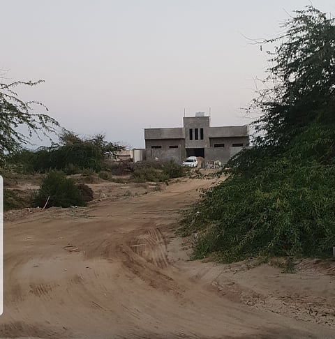 "شجرة الشيطان" تسيطر على مخطط الليث الجنوبي