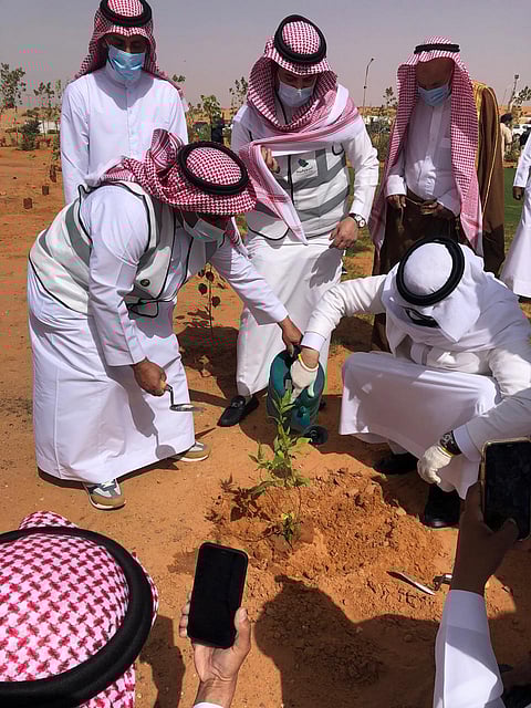 محافظ شقراء يدشن أسبوع البيئة بمشاركة اللجان النسائية والجمعيات البيئة