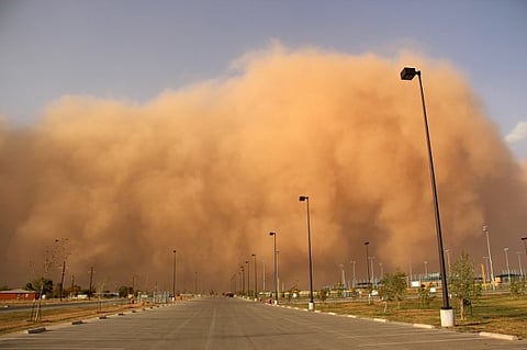 لن تسجل عاصفة.."طقس 48 ساعة" بتوقيع "الشيخي": غبار من مصر هذا مصيره