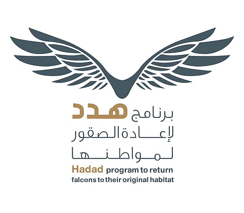 في اليوم العالمي للطيور المهاجرة.. جهود سعودية لإعادة الصقور لمواطنها