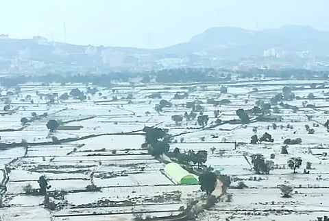 مشاهد مبهرة من "باشوت عسير".. برد يغطي الأراضي بعد هطولات غزيرة