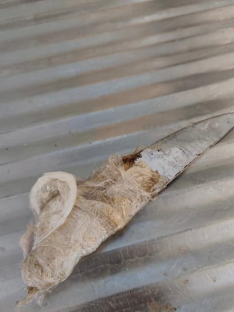 جدة.. إغلاق سوبر ماركت شهير بعد رصد مواد غذائية "مجهولة المصدر"