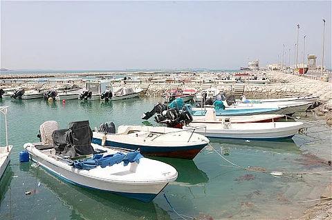 مرفأ الصيادين بـ"شقيق جازان" يبدأ استقبال الصيادين