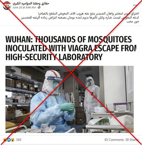 "بعوض ملقّح بالفياغرا تسرّب من مختبر ووهان".. خبر ساخر يغزو مواقع التواصل