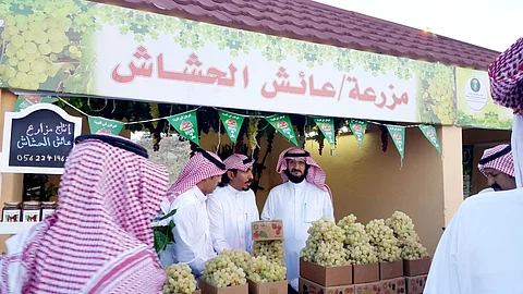 عنب "بني سعد" قصة اشتهرت منذ ألف عام ووصلت إلى الدول المجاورة