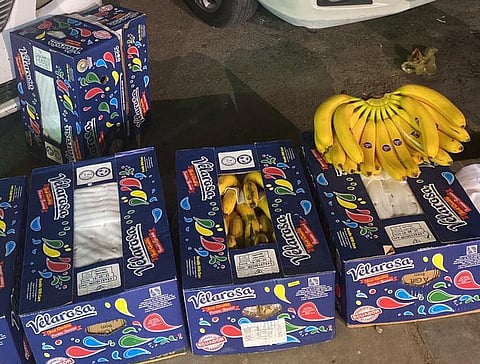 أمانة مكة تغلق 25 منشأة خالفت الاشتراطات وتمنع المباسط