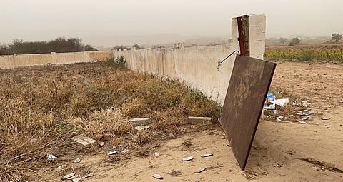 الإهمال يحوِّل مقبرة بالعارضة لمقر للحيوانات الضالة