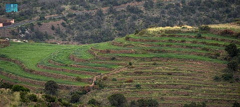 "السياحة الريفيّة" في مدرجات عسير تجذب عشاق الطبيعة للاسترخاء