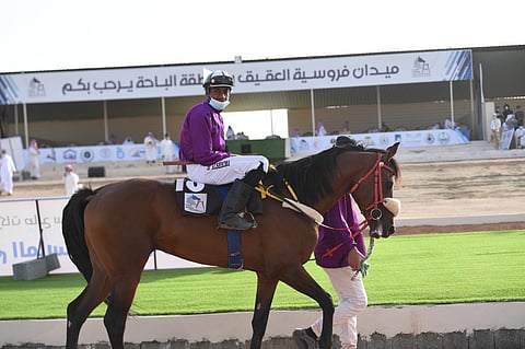 أمير الباحة يرعى حفل اختتام سباقات الفروسية.. الخميس