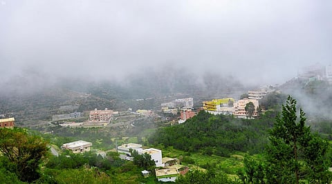 "الأرصاد": سحب رعدية ممطرة على الباحة