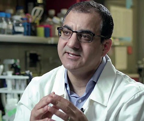 جامعة "كاوست" تنتج مجموعة اختبار PCR بمكونات محليّة قيد التسويق