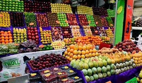 انتهت المهلة والشروط 6.. تفعيل قرار عدم استيراد الفواكه والخضراوات إلا بإذن