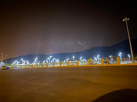 بلدية بلقرن: "حديقة باشوت" تم صيانتها وقربها من الغابات سبب وجود القرود