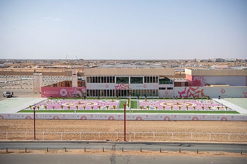 ميدان مهرجان الهجن بلا تشوُّه بصري.. زُيِّن بالأعلام والأشجار والخرسانة الملونة