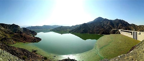 بتوجيه من أمير مكة.. محافظ العرضيات يدشّن سد قنونا ومحطة تنقية المياه غداً