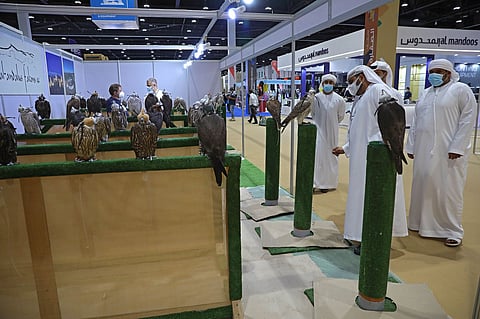 بالصور مشاركات سعودية في المعرض الدولي للصيد والفروسية بحضور 44 دولة