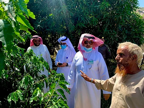 محافظ المجاردة ومديرو الإدارات في زيارة لجبل ريمان ومزرعة المسن "الحسيني"