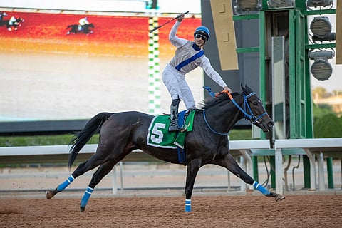 إسطبل "فيصل بن خالد" يخطف كأسَيْ آسيا ونيوزيلندا وأستراليا