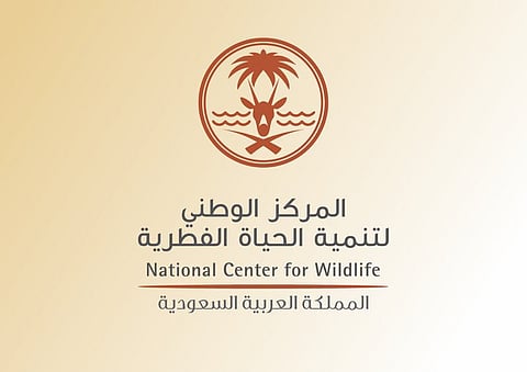 "السعودية الخضراء".. "الفطرية": 30% من مساحة المملكة ستكون مناطق محمية