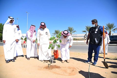 "صحة نجران" تُطلق مبادرة "أيادٍ خضراء" لغرس 20 ألف شجرة