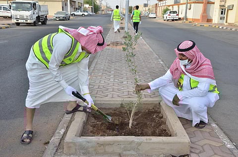 60 متطوعاً ومتطوعة يساهمون بتنفيذ مبادرة "عشان أحب حائل"