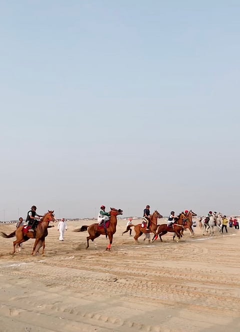 انطلاق سباق الخيل الأول بالقنفذة .. وصداه يجذب الهواة من عسير والباحة