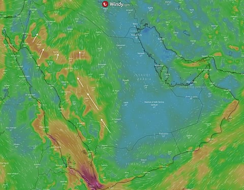 "المطرية" تنطلق بعرض البحر وتتوغل لليابس.. "المسند": غداً البداية الفعلية!