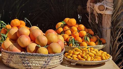 يناير الجاري.. "الهيئة الملكية للعلا" تطلق أول مهرجان للحمضيات