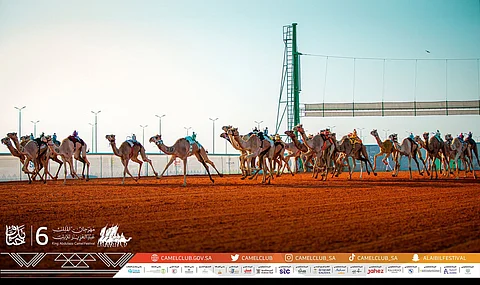 جوائز سباقات الهجن في مهرجان المؤسس الأعلى عالمياً.. بـ 88 مليون ريال