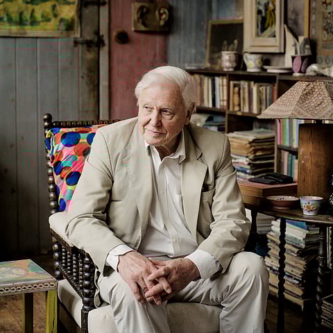 أسرار النباتات الصحراوية بالمملكة تكشفها شبكة BBC البريطانية في أقوى برامجها