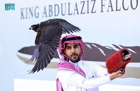 الصقَّار أمين الملاح يحقق شوطين في "بطولة فزاع للصيد بالصقور"