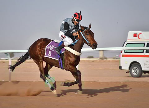 نادي الفروسية بحائل ينظم سباقه الـ 16 للموسم الحالي على طريق القاعد