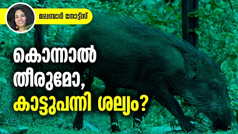 പഞ്ചായത്തിനായി വന്യജീവിയെ കൊന്നാല് ആരാണ് ഉത്തരവാദി?