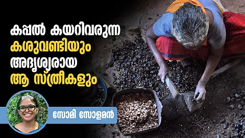a woman works in cashew factory