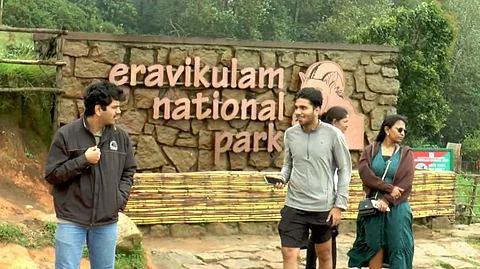 Eravikulam National Park