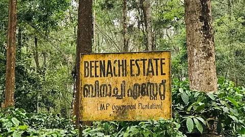 Beenachi Estate's Rs 500-cr market value makes takeover a tough task for Kerala