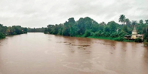 ചാലക്കുടി പുഴ (ഫയല് ചിത്രം)
