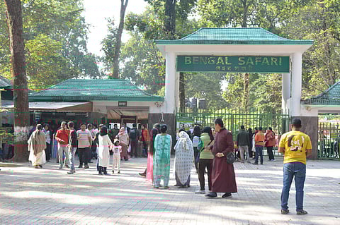 tourist visits bengal safari