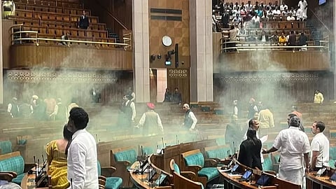 संसद की सुरक्षा में सेंध (फाइल फोटो)