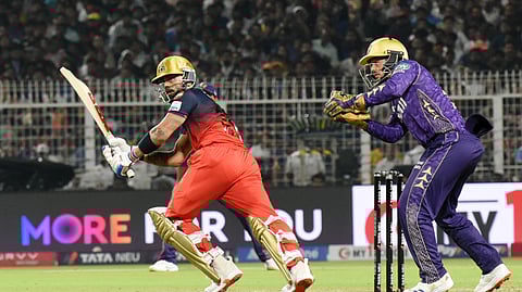 IPL 2025 : इस ऑस्ट्रेलियाई दिग्गज का दावा- RCB की टीम में इस बार कुछ खास है
