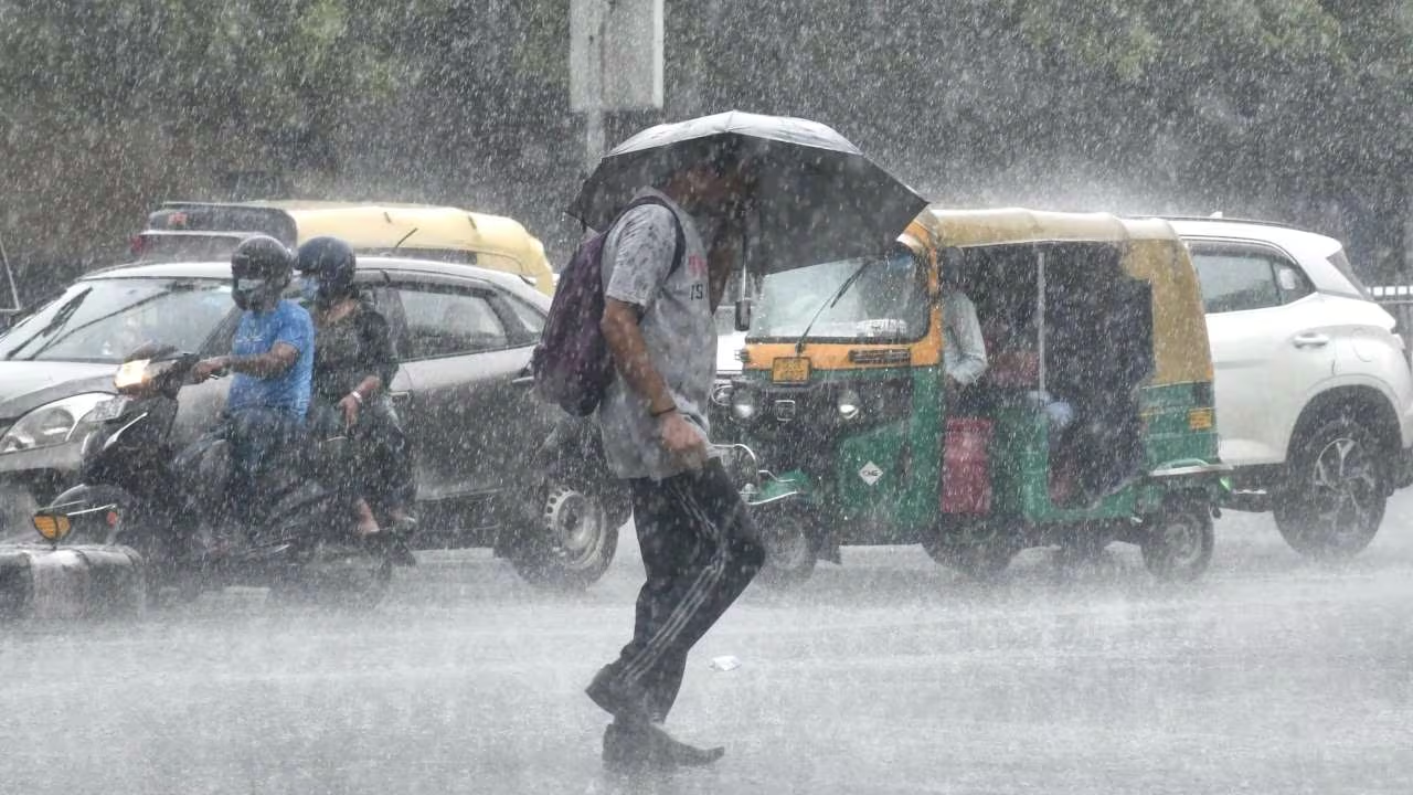 बशीरहाट में बारिश का कहर, कर्ज लेकर खेती करने वाले किसान परेशान