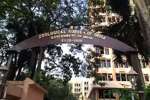 zsi, kolkata, india, survey, disease, parasite, northbengal, bengal